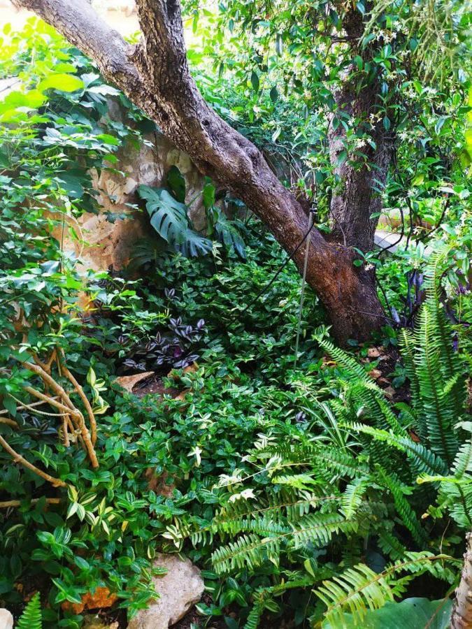 Olive Lemon Biophilic House & Lush Forest Garden Vamos Ngoại thất bức ảnh