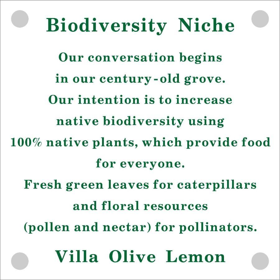 Olive Lemon Biophilic House & Lush Forest Garden Vamos Ngoại thất bức ảnh