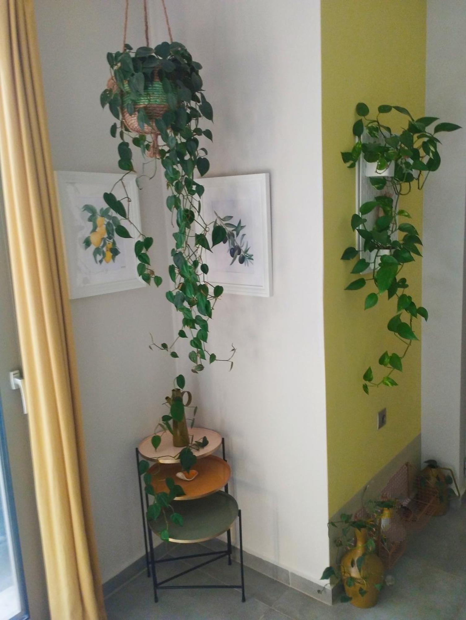 Olive Lemon Biophilic House & Lush Forest Garden Vamos Ngoại thất bức ảnh
